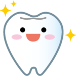 歯　イラスト